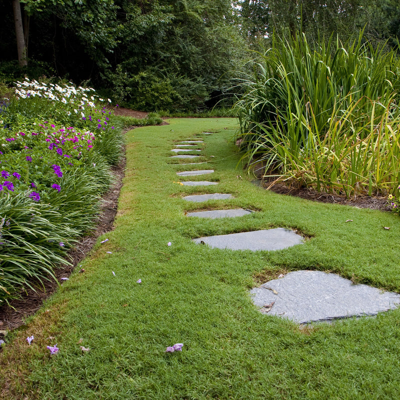 irregular bluestone stepping stones